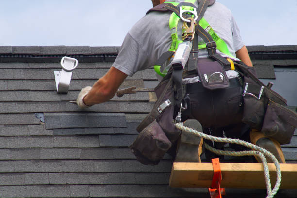 Best Roof Gutter Cleaning  in Minorca, LA